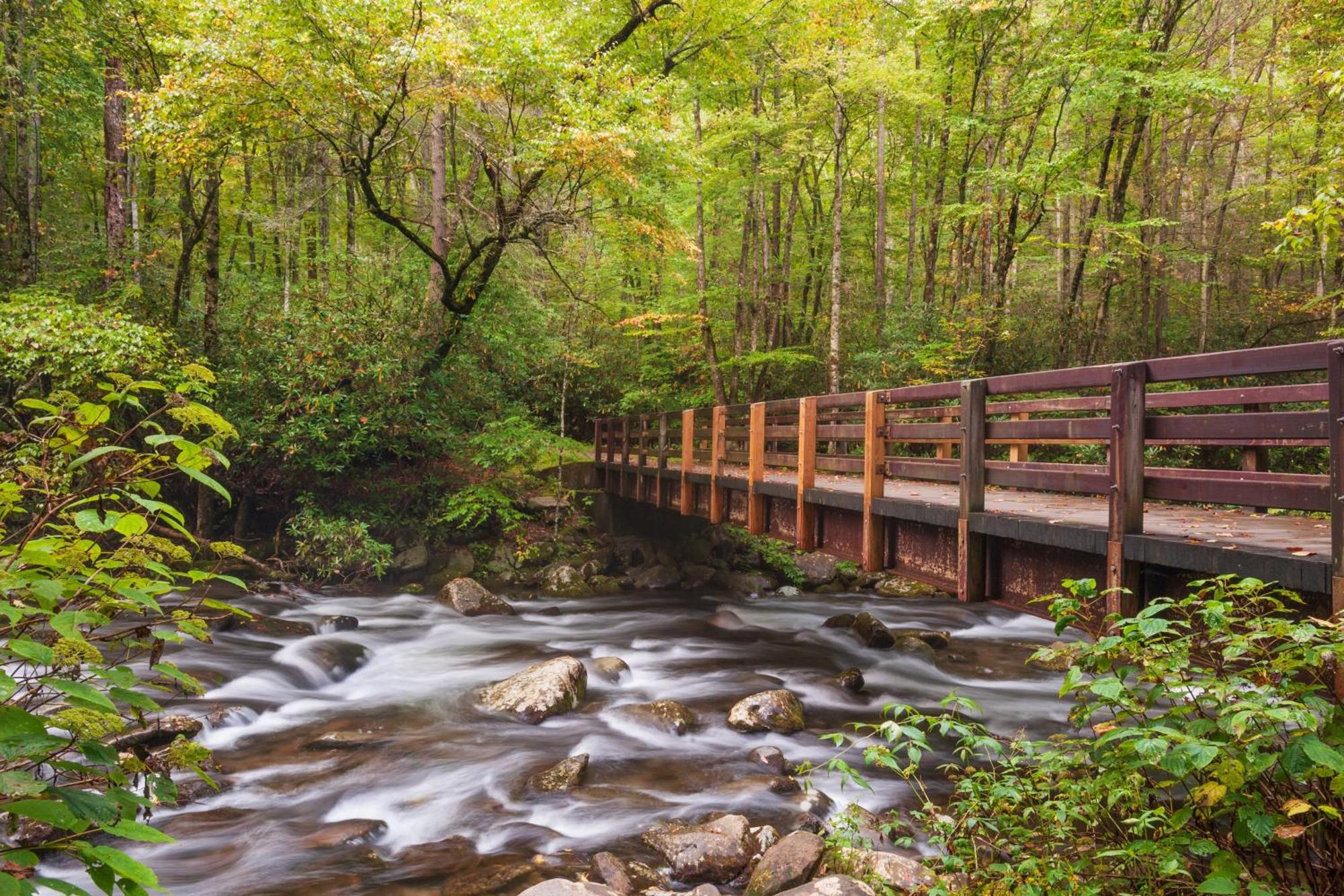 Key Lime Pie, Hot Tub,Wifi, 1089 Free Tickets Each Paid Day, Dollywood And More Gatlinburg Luaran gambar